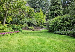 Optimiser l'expérience du jardin à Fricamps